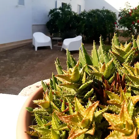 B&B Bell'Aria Monopoli Exterior photo