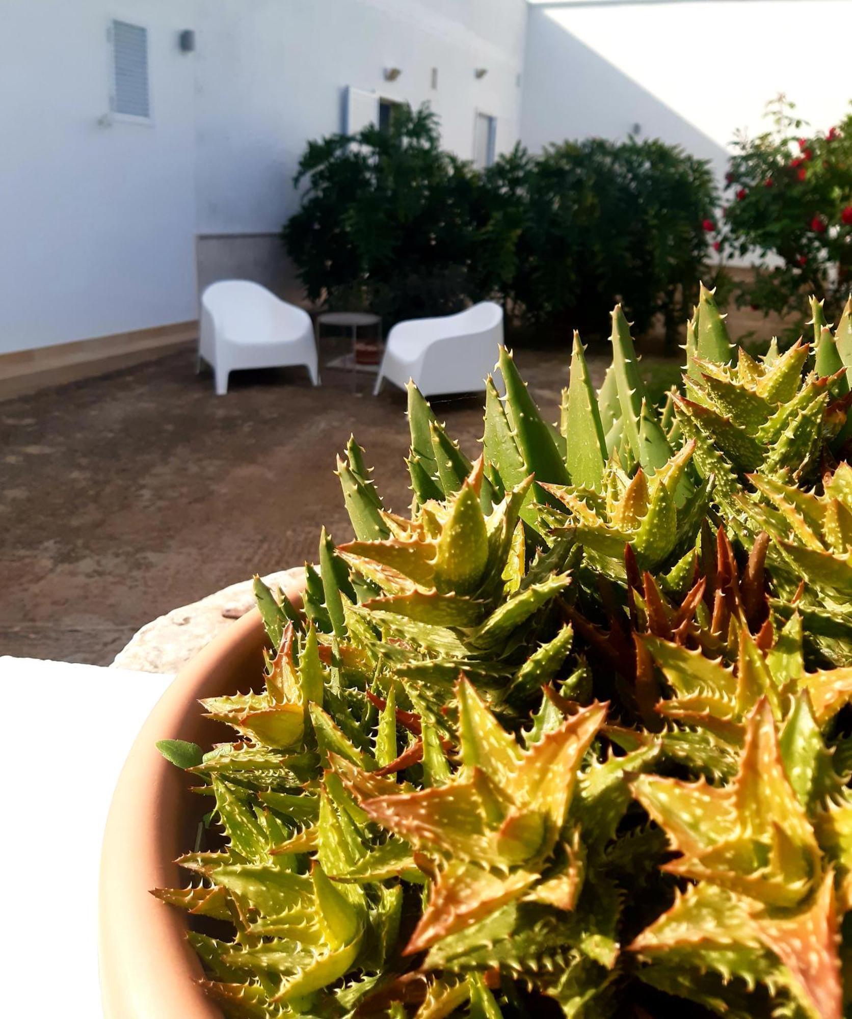 Bed and breakfast Bell'aria Monopoli